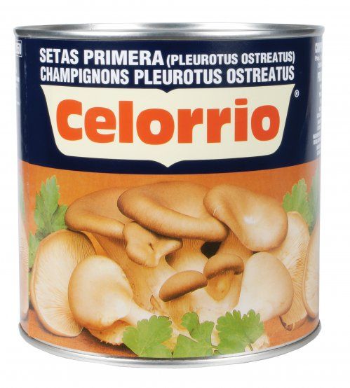 SETAS ENTERAS CELORRIO 3 KGS.