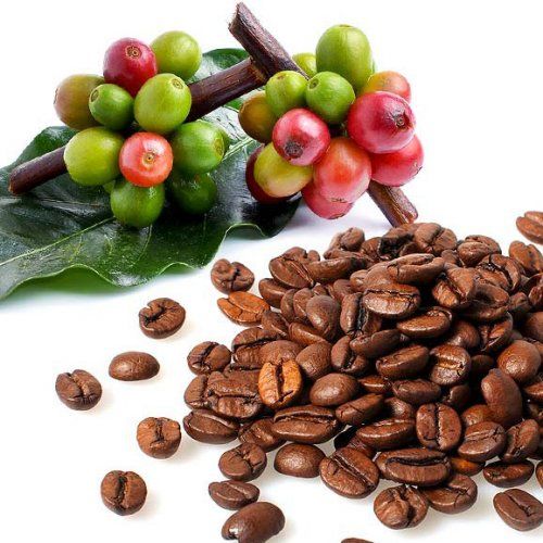 07  CAFÉ , INFUSIONES Y CEREALES