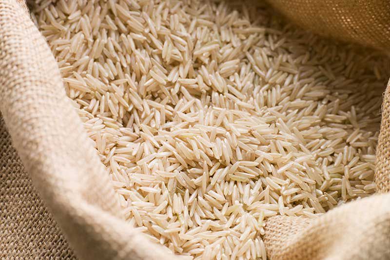 arroces Salamanca arroces Salamanca